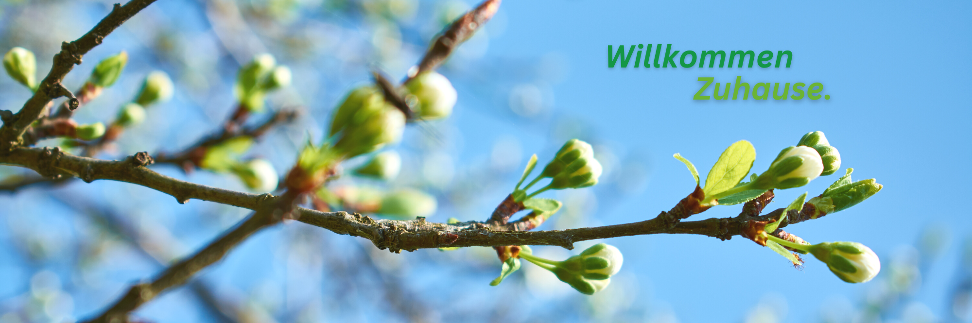 Frühling Startbild