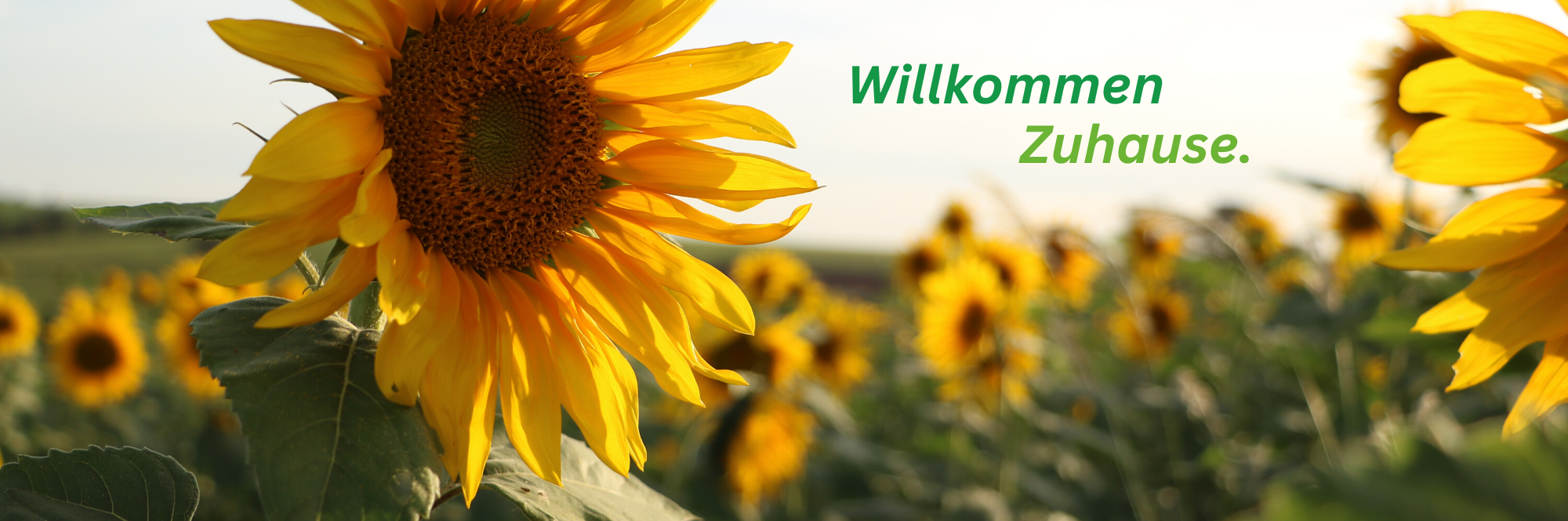 Sommer